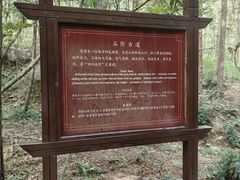 -冶父山国家森林公园