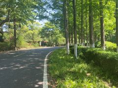 -宜兴龙背山森林公园