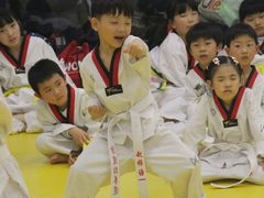 -浛道跆拳道·拳击·体适能