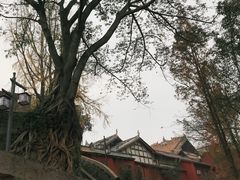 -邱少云烈士纪念馆