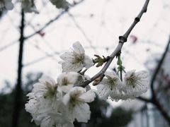 -快乐街区(成都龙湖北城天街店)