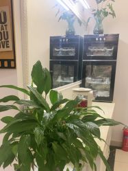 -香秀空间科技抗衰·美容中心