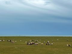 -青海湖国家重点风景名胜区