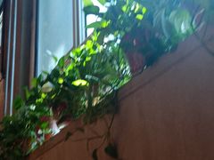 -比格比萨自助(国展店)