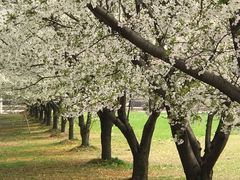 -同济大学(嘉定校区)
