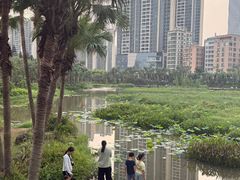-中澳友谊花园