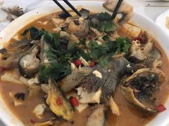 红烧狗鱼-煲来饱去冷水鱼