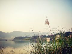 -金海湾滨江公园
