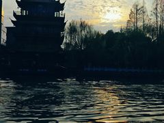 -运河游船(武林门码头)