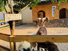 -HERRE·FARM 赫尔露营农场·团建聚会包场