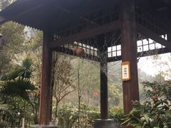 -中铁花水湾四季温泉谷