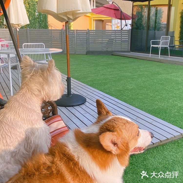 特别是新造了全透明的泳池