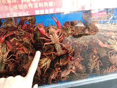 -阿财老铺·老蚌埠龙虾城(华夏总店)