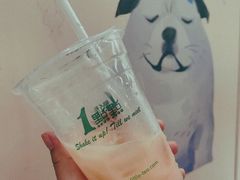 养乐多绿-1点点(河南中路店)