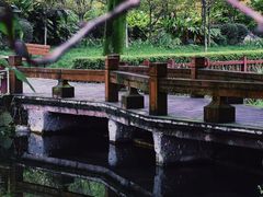 -望江楼公园