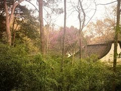 -宋宴(虎跑店)