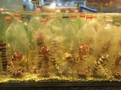 -Isla Sugbu Seafood City