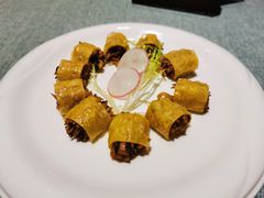 天堂新素-宝燕壹号(徐汇店)