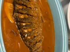 -阿五黄河大鲤鱼(纬三路店)