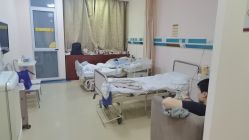 -复旦大学附属妇产科医院(杨浦院区)