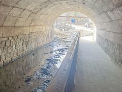 -白水寺森林公园