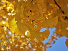 -浙江农林大学(东湖校区)