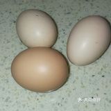 小菜炒饭，早饭一天开始。