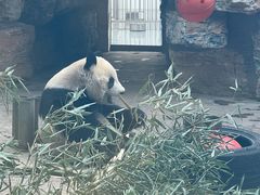 -石家庄市动物园