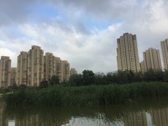 -前关湿地公园