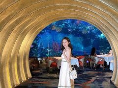 -迪拜帆船酒店海底餐厅