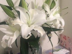 -三旗百汇商品城