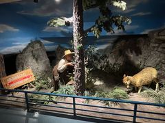 -陕西自然博物馆