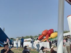 -荷兰花海