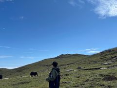 -灵山