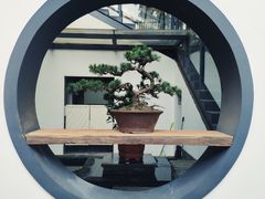 -凤凰御元艺术基地