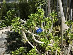 -南山植物园