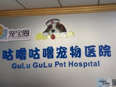 -咕噜咕噜宠物医院·CT·肿瘤科·骨科(前海院)