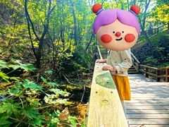 -丹东凤凰山景区