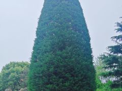 -宋庆龄陵园