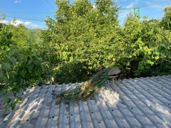 -丽泽山庄·生态怀柔菜·虹鳟鱼(红螺寺店)