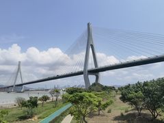 -芒洲湿地公园