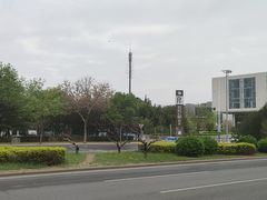 -大兴滨河森林公园