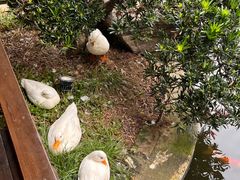-顺德渔村·岭南一号