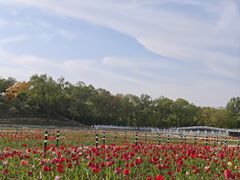 -北陵公园