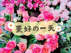 -循礼门鲜花花市(武汉循礼门店)