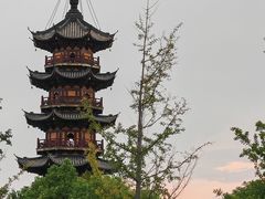 -龙华素斋(龙华路店)