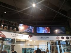 -MR鹅外