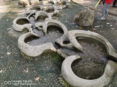 -成都市活水公园