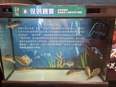 -肆月河豚·淮扬菜·湘菜(华天店)