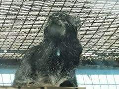 -青藏高原野生动物园